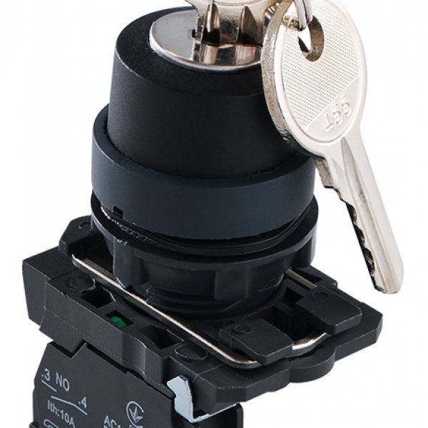 TB5-AG41 Кнопка поворотная с ключом 2-х поз. АСКО-УКРЕМ - A0140010154