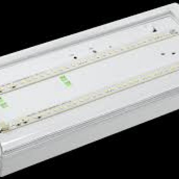 Универсальный аварийный светильник IEK ДПА 5042-1 1ч IP65 (LDPA0-5042-1-65-K01) - LDPA0-5042-1-65-K01