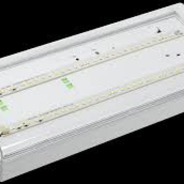 Универсальный аварийный светильник IEK ДПА 5042-3 3ч IP65 (LDPA0-5042-3-65-K01) - LDPA0-5042-3-65-K01