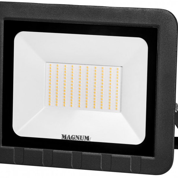 Прожектор Magnum (90014089) FL ECO LED 6500K IP65 100Вт - 90014089